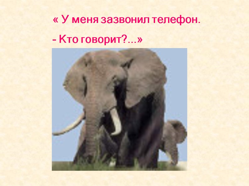 « У меня зазвонил телефон. - Кто говорит?...»